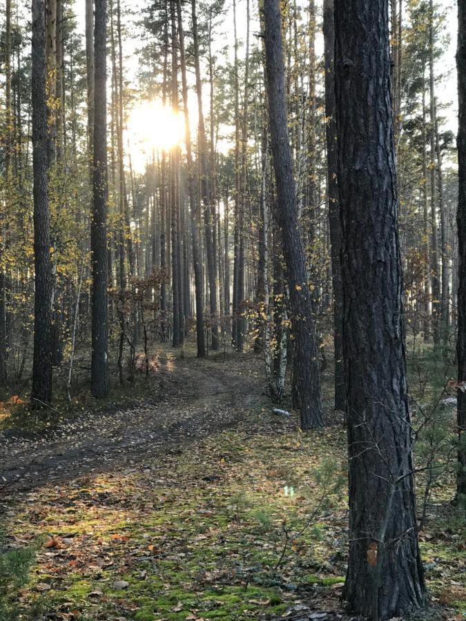 Диброва Dibrova  Exterior foto